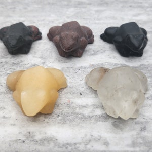 May include: Five small frog figurines carved from different types of stone. The frogs are in various shades of brown, black, white, and yellow.