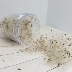 May include: A clear plastic jar with a white lid is spilling out white and brown dandelion seeds onto a white wooden surface.