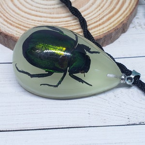 Tear Drop Shaped Resin Casted Real Beetle Pendant with Chord Necklace Glow in the Dark image 3