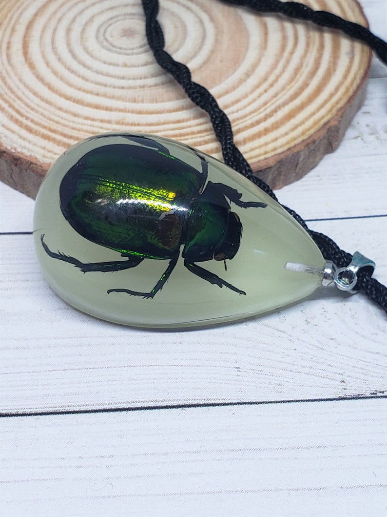 Tear Drop Shaped Resin Casted Real Beetle Pendant with Chord Necklace Glow in the Dark image 3