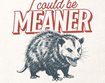 Funny opossum digital PNG graphic - I could be meaner PNG - Trendy retro print file - Sarcastic printable design - Sassy shirt print PNG