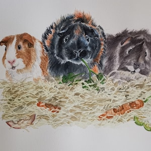 Handgemaltes Aquarellbild Haustier Portrait Personalisiert Geschenk Hund Katze Zeichnung Haustier Andenken Bild vom Foto Gemälde Denkmal Bild 3