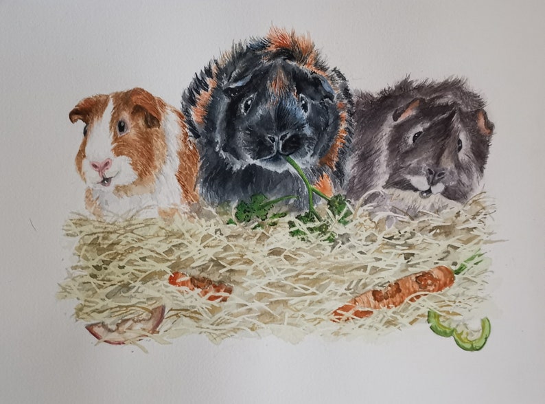 Handgemaltes Aquarellbild Haustier Portrait Personalisiert Geschenk Hund Katze Zeichnung Haustier Andenken Bild vom Foto Gemälde Denkmal Bild 3