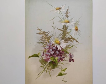 1920, Antique Botanical Prints of Chrysanthemum and Viola Flower Print Chromolithographie