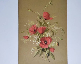 Botanical Print of Poppy Flower, Original French Flower Lithograph Print