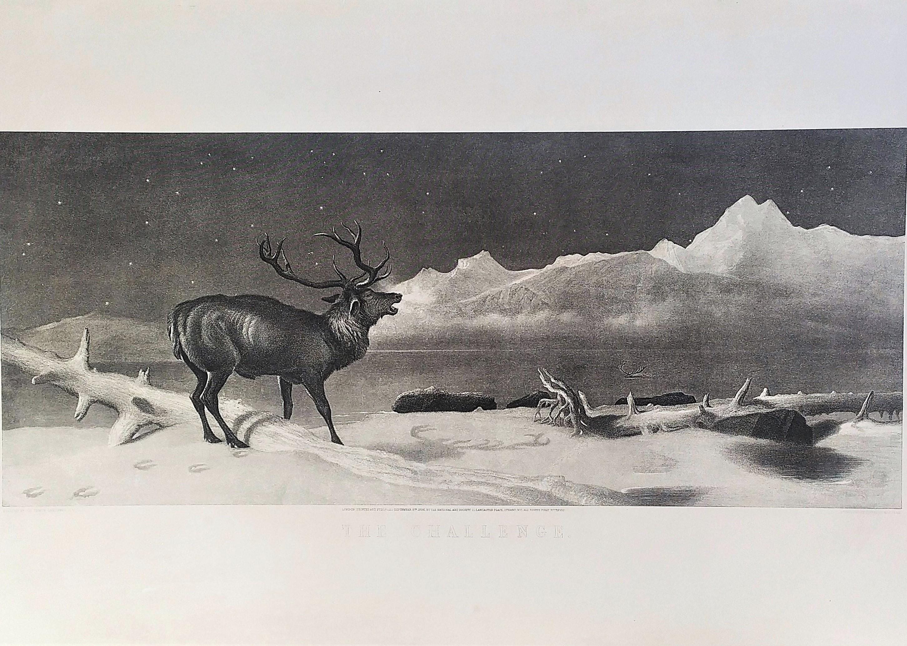 Edwin Landseer Etching The Challenge Deer Engraving Animals 19th C Old Print