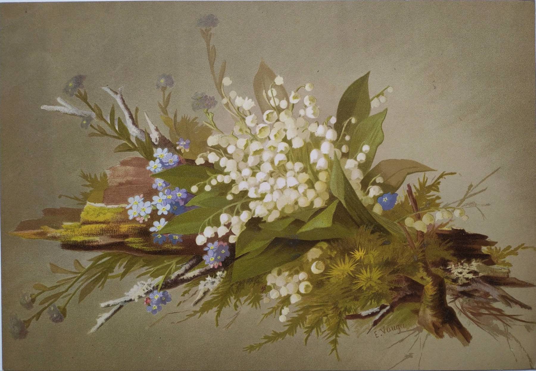 Gravure Botanique Ancienne - Lithographie de Fleurs Français Des Années 1920 Lily Botany Print