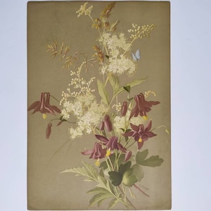 Botanical Antique Print - Litografía de flores francesa de la década de 1920 - Field Flower Botany Print