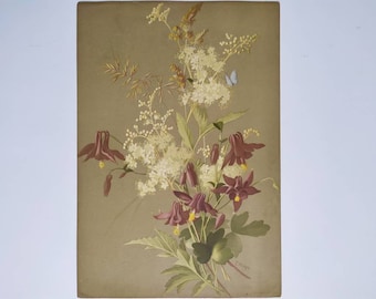 Gravure botanique ancienne - Lithographie de fleurs Français des années 1920 - Impression botanique de fleurs des champs