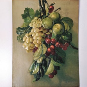 Grapes Still Life Chromolithography Botanical Print Viniculture Kitchen Wall Decor