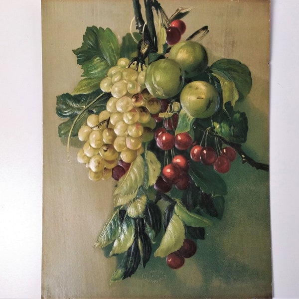 Grappe de Raisin Viticulture Nature Morte Chromolithographie Botanique d'après Tableau Huile