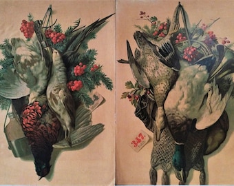 Trofeos de caza Bodegones Cromoolithografía después de pintura al óleo antiguo cocina pared arte brocante vintage