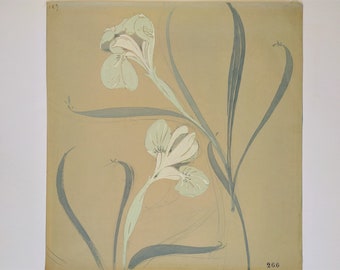 Art Nouveau Irises Gouache and pencil Still Life Flowers