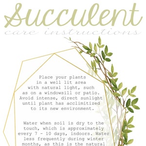 May include: Succulent care instructions with a gold geometric frame and green foliage. The text explains how to care for succulents, including watering and fertilizing.