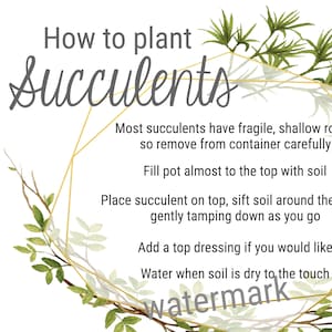 Succulent Planting Party Printable - How To Plant Succulents 11x14