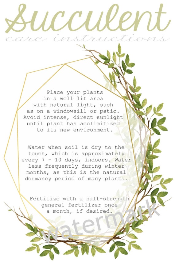 Succulent Party Printable Care Instructions 2 Options Etsy