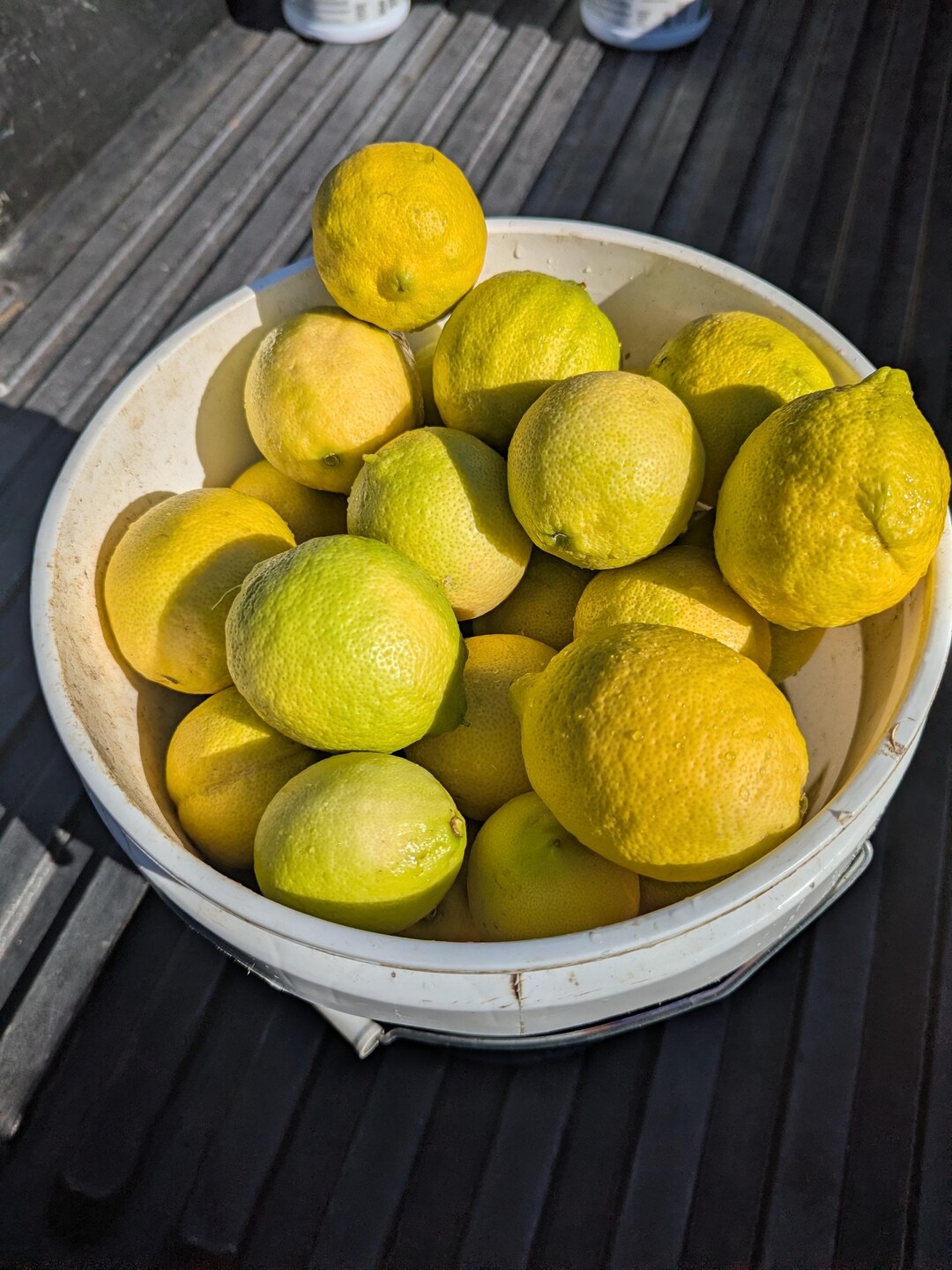 ☆lemon☆ New Crop Big Box ! Sustainably Grown Lemons! 25+lbs Sicilian Style