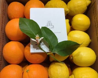 Healthy Gift Sale! Triple Play  Gourmet California Navel Oranges,  Heirloom Seeded Valencia Oranges,Sicilian Lemons! Healthy Vegan Non GMO
