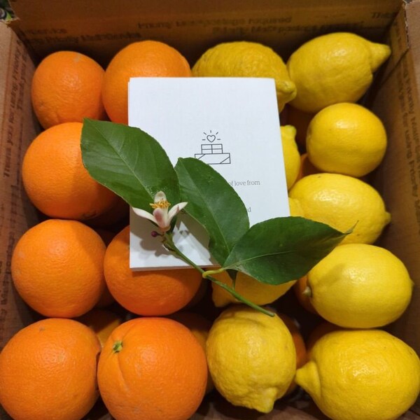 Healthy Gift Sale! Triple Play  Gourmet California Navel Oranges,  Heirloom Seeded Valencia Oranges,Sicilian Lemons! Healthy Vegan Non GMO