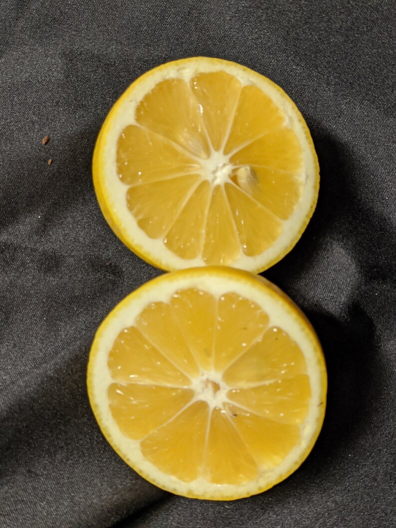 Cara Mia Bella Sale Gift Box 8+lbs Cara Cara Pink Navels Tangerines Lemons Healthy Delivered Fresh