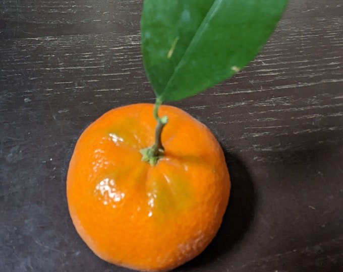 Fresh Seedless Tango Tangerines 5 Lbs Box 16 to 20 Pcs Naturally Grown