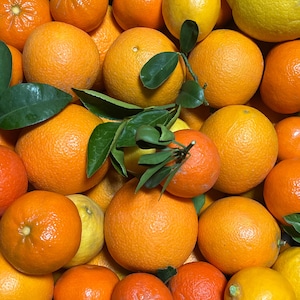 Soooo Sweet Grand Slam Gift Box 5,8,14lbs Medley  PEAK of Flavor! Heirloom Valencia Oranges Sicilian Lemons California Gourmet Navels