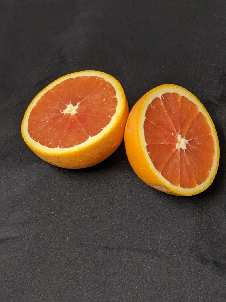 Cara Mia Bella Sale Gift Box 8+lbs Cara Cara Pink Navels Tangerines Lemons Healthy Delivered Fresh