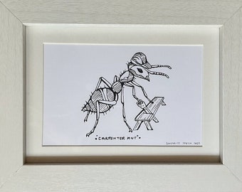 Carpenter Ant