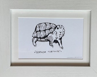 Gopher Tortoise