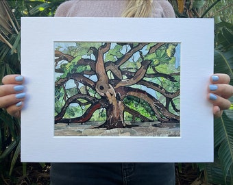 Live Oak Collage -- Fine Art Print