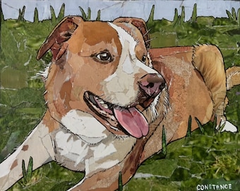Custom Pet Collage
