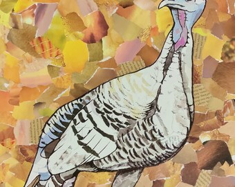 Turkey Collage