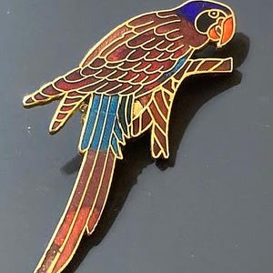Enamel parrot brooch. 2.5" tall by 1" wide.
