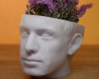 Maceta con la cabeza de Nathan Fielder – Maceta personalizada con el rostro de una celebridad, un regalo original para suculentas.
