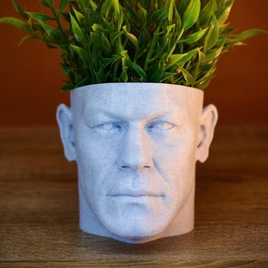 Puede incluir: Un macetero de cerámica blanca con forma de cabeza humana con plantas verdes de hojas que crecen en la parte superior.