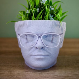 May include: A light purple planter shaped like a human face with white-rimmed glasses and a small patch of green grass with white flowers growing out of the top.