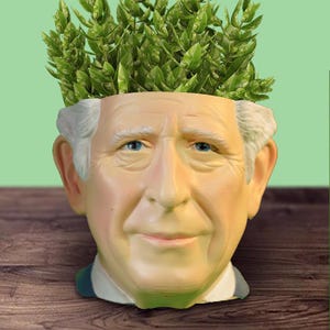 Peut inclure: Un pot de fleurs original en forme de visage souriant avec des yeux bleus et des cheveux blancs, rempli de plantes vertes à feuilles. Le pot a un teint clair et est posé sur une surface en bois.
