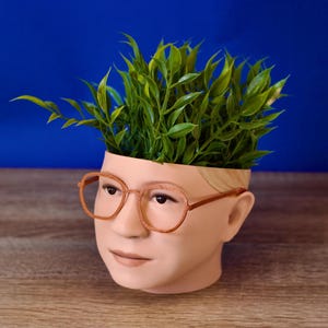 May include: A planter shaped like a person's head with glasses and blonde hair. The planter is filled with green leafy plants.