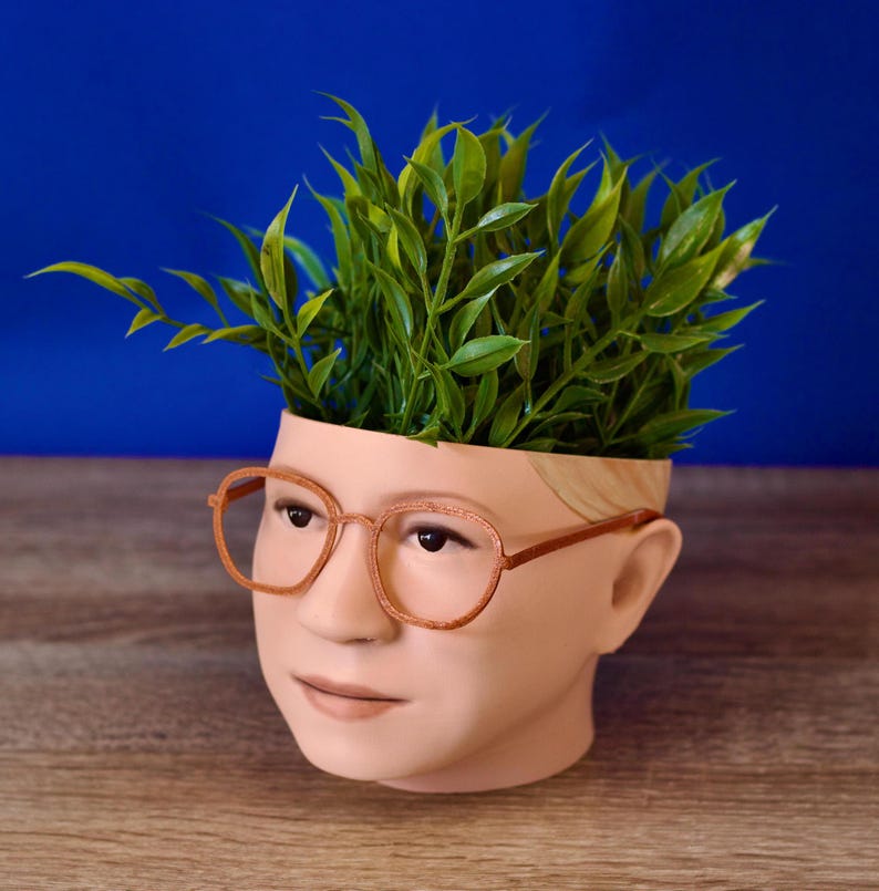 May include: A planter shaped like a person's head with glasses and blonde hair. The planter is filled with green leafy plants.