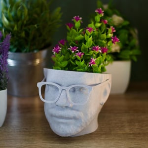 May include: A white ceramic planter shaped like a person's head with glasses. The planter has a small beard and is filled with a green plant with pink flowers.