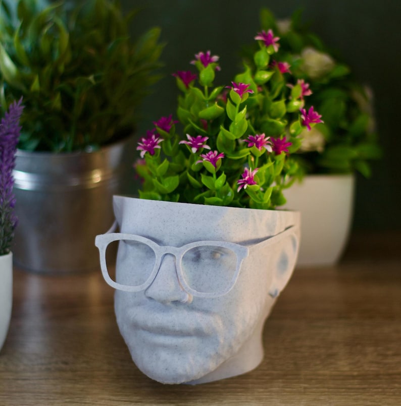 May include: A white ceramic planter shaped like a person's head with glasses, holding a small plant with pink flowers.