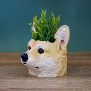 May include: A ceramic planter shaped like a corgi's head with a green plant growing out of the top.