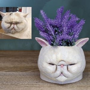 May include: White ceramic planter shaped like a cat's face with lavender flowers inside.