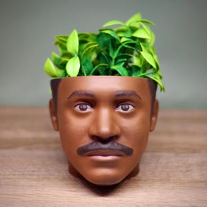 May include: A brown ceramic planter shaped like a person's head with a mustache. The planter is filled with green plants.