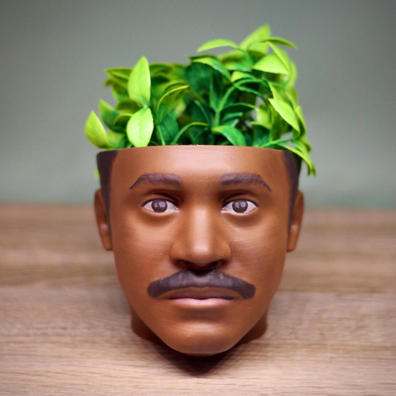 May include: A brown ceramic planter shaped like a person's head with a mustache. The planter is filled with green plants.