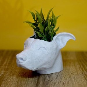 Custom Pet Head Planter – Personalized 3D Printed Pet Portrait Pot for Succulents & Indoor Plants, Pet Memorial Gift, Hand-Painted Decor Marble Grey