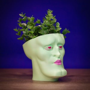 Peut inclure: Un pot en céramique vert clair en forme de visage humain avec des lèvres et des yeux roses. Le pot est rempli de plantes vertes feuillues.