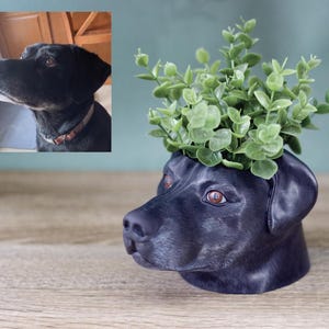 May include: Black dog planter with a green plant growing out of the top. The planter is shaped like a dog's head.
