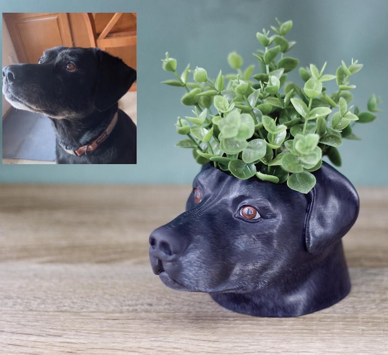 May include: Black dog planter with a green plant growing out of the top. The planter is shaped like a dog's head.
