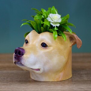 May include: A brown and white dog planter with a green plant and a white flower on top. The planter is made to look like a dog's head.